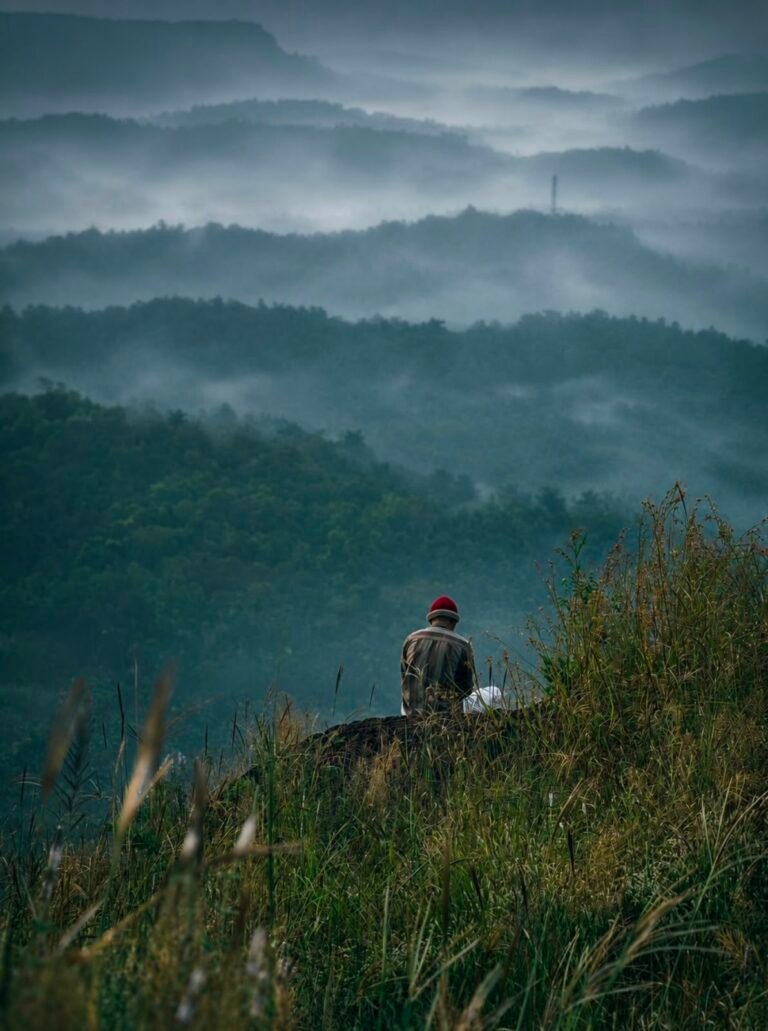 Transform this image into a breathtaking ultra-realistic foggy forest masterpiece